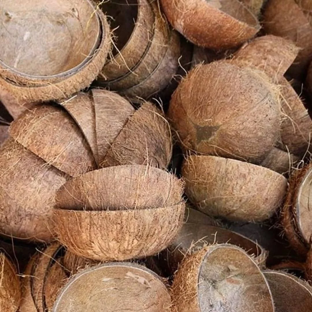 Coconut Shell Biochar